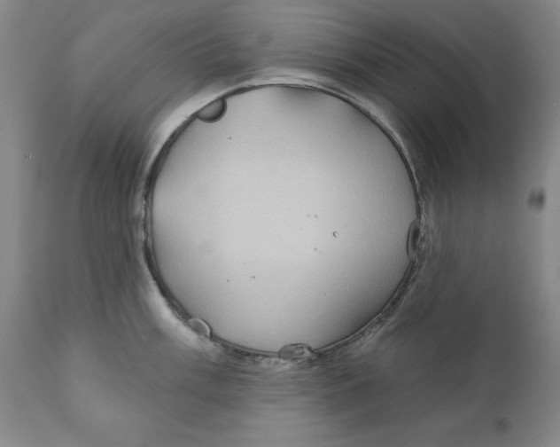 X0000111241003200907231524