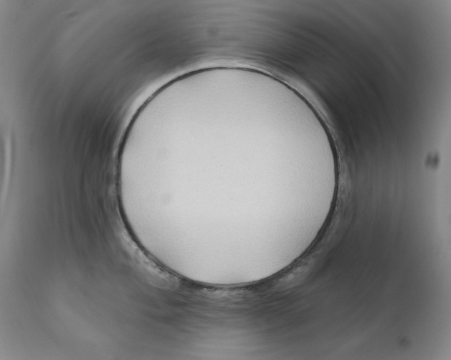 X0000111241004200907231524