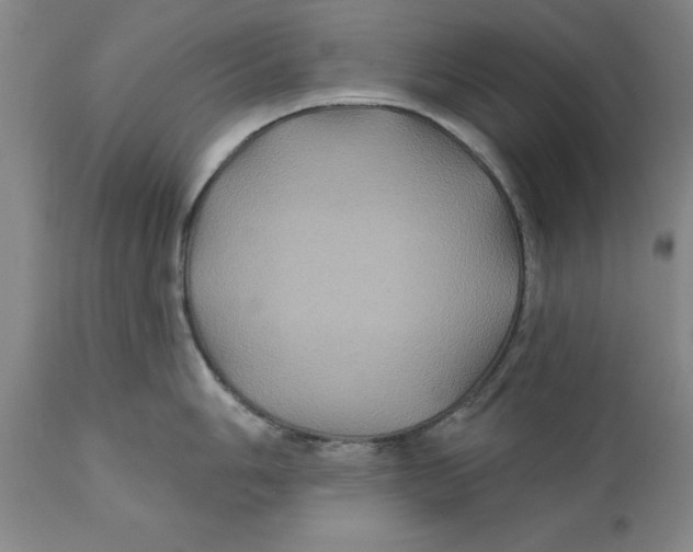 X0000111241006200907231524