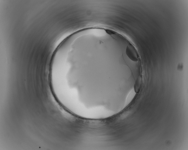 X0000111241007200907231524