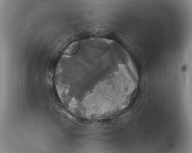 X0000111241010200907231523