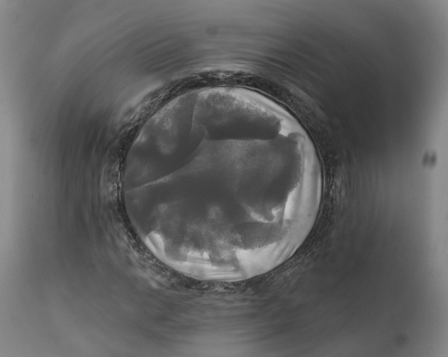 X0000111241014200907231523