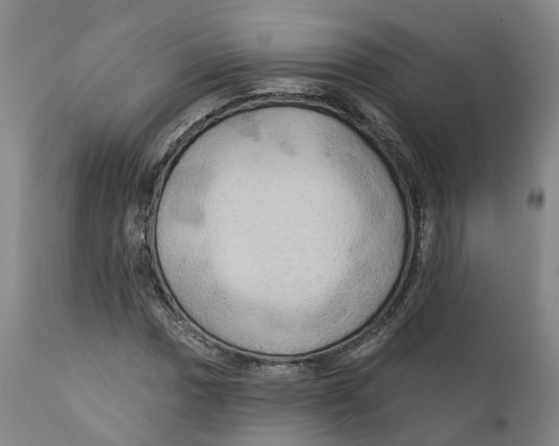 X0000111241017200907231523