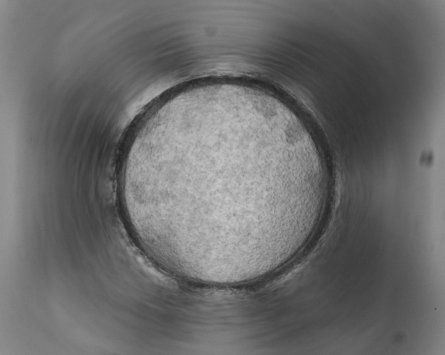 X0000111241018200907231523