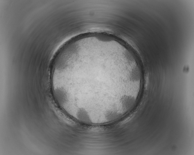 X0000111241021200907231523