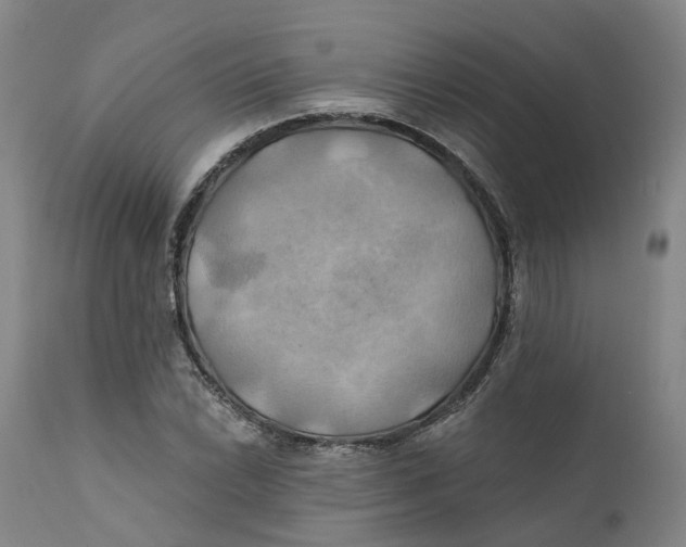 X0000111241022200907231523