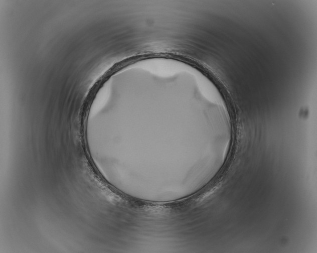 X0000111241023200907231523