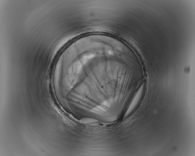 X0000111241024200907231523