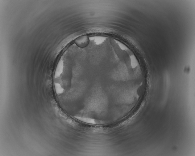 X0000111241025200907231523