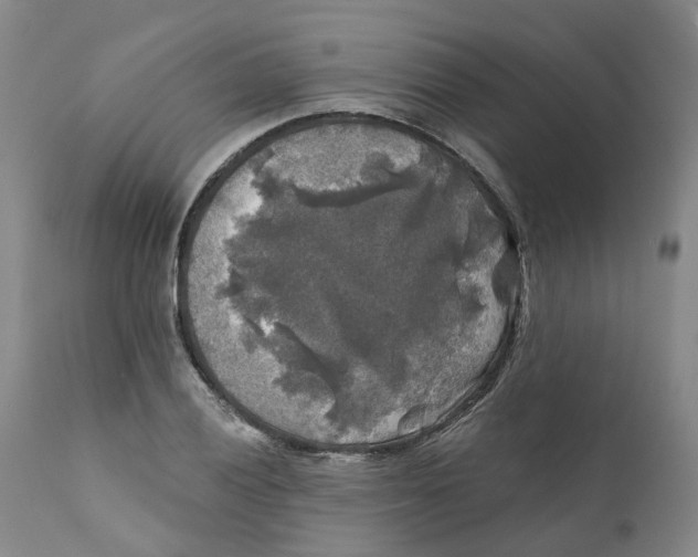 X0000111241028200907231523