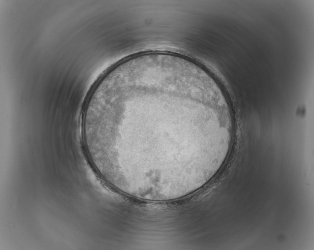 X0000111241032200907231523