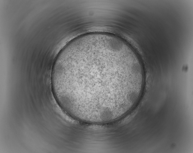 X0000111241033200907231523