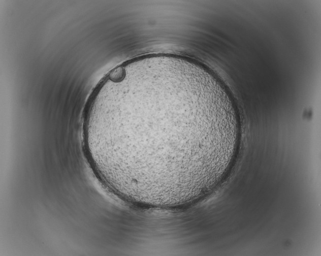 X0000111241034200907231523