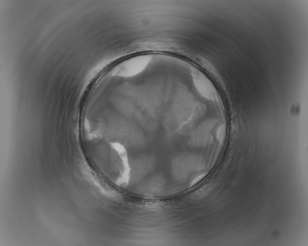 X0000111241035200907231523