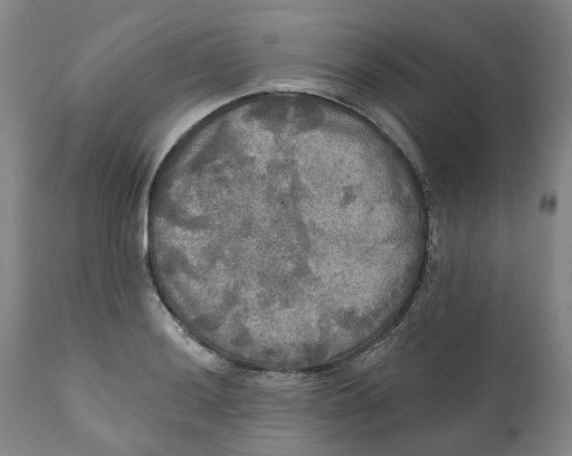 X0000111241036200907231523