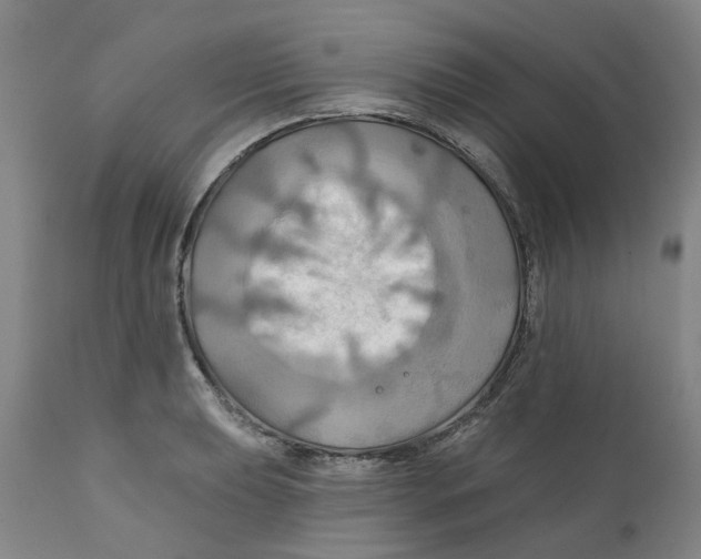 X0000111241039200907231523