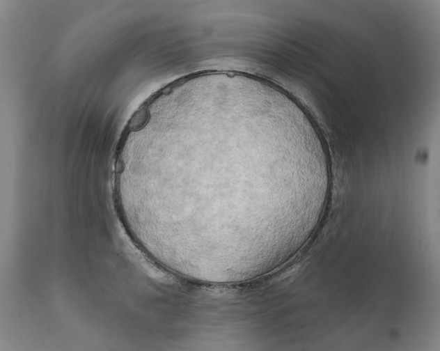 X0000111241040200907231523