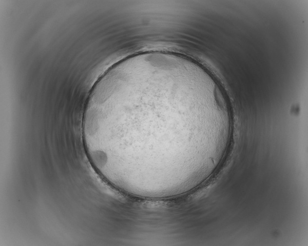 X0000111241041200907231523