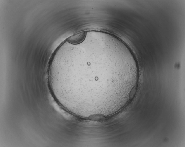 X0000111241042200907231523