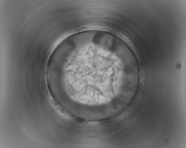 X0000111241043200907231523