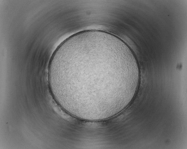 X0000111241044200907231523