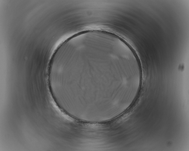 X0000111241045200907231523