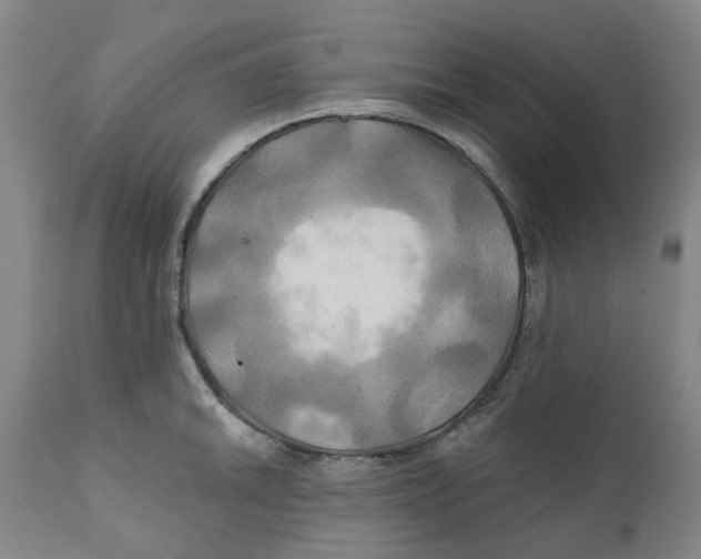 X0000111241046200907231523