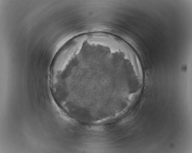 X0000111241047200907231523