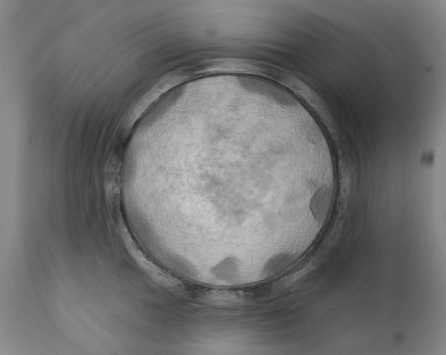 X0000111241049200907231524