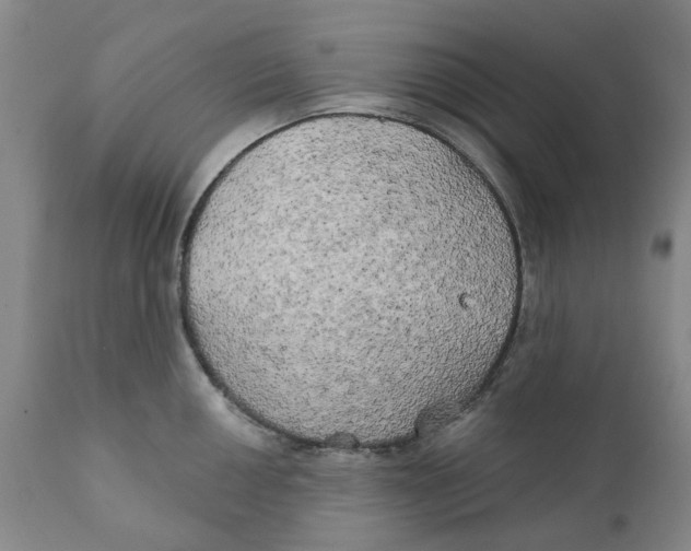 X0000111241050200907231524