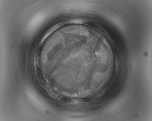 X0000111241052200907231524