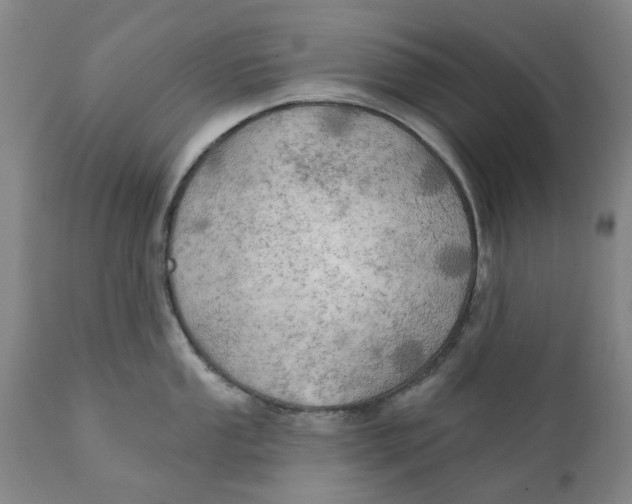 X0000111241053200907231524