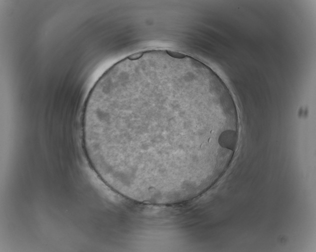 X0000111241056200907231524