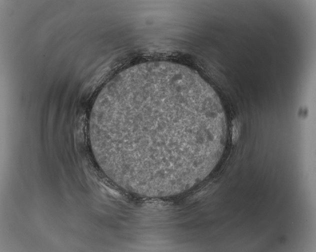 X0000111241059200907231523