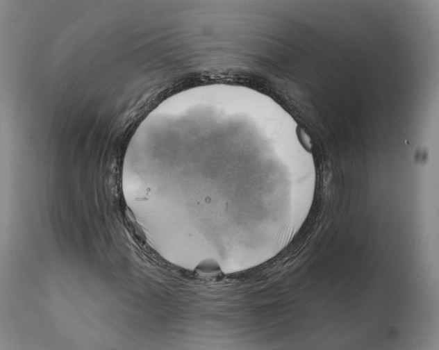 X0000111241060200907231523