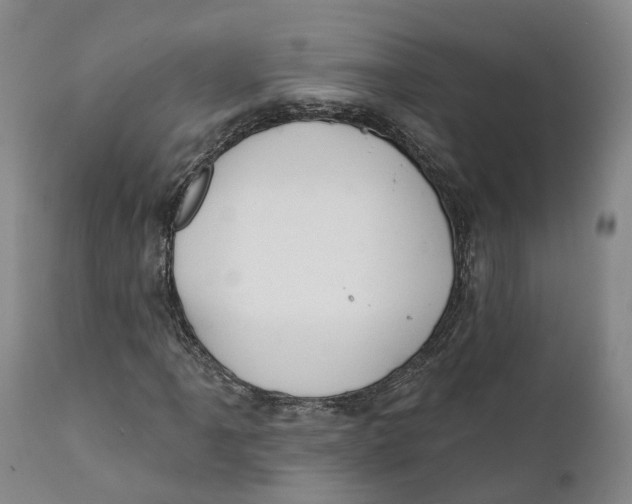 X0000111241061200907231523