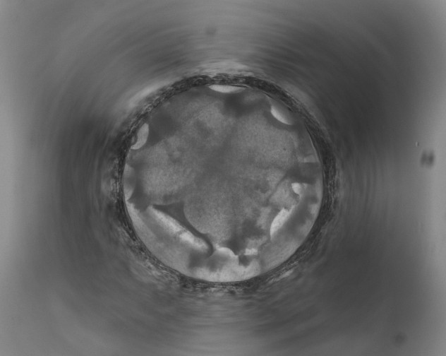 X0000111241063200907231523