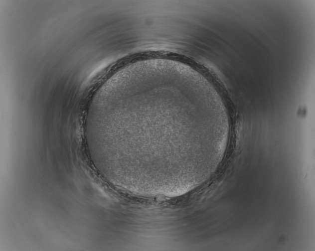 X0000111241064200907231523