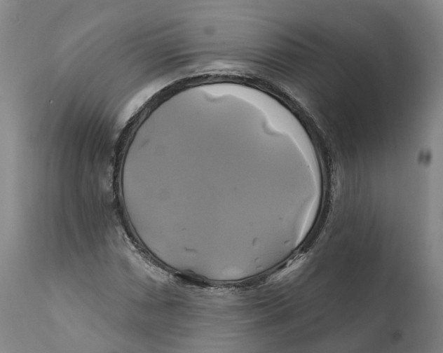 X0000111241066200907231523