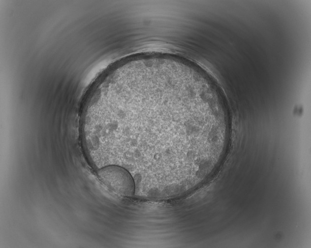 X0000111241067200907231523