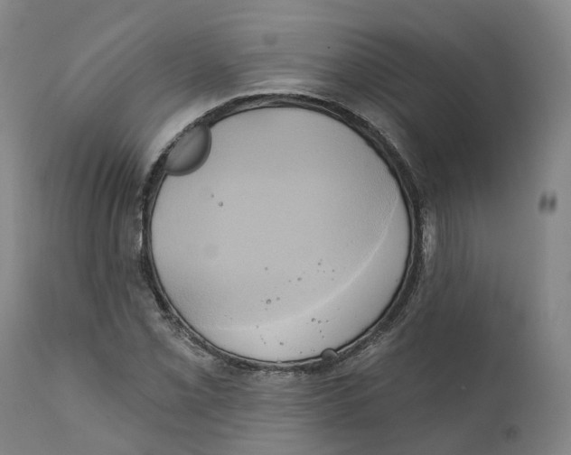 X0000111241069200907231523