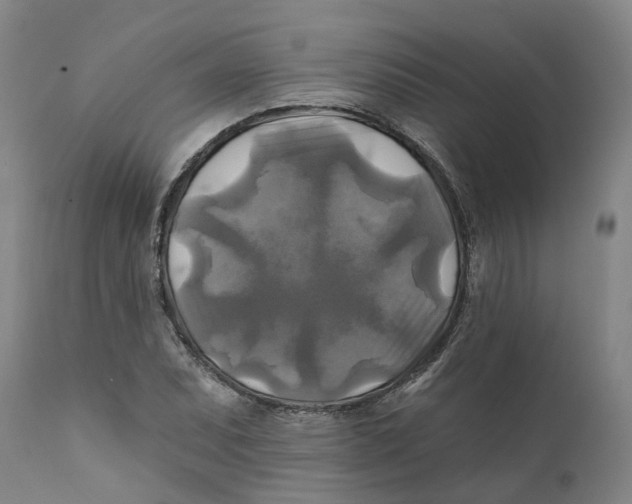 X0000111241071200907231523