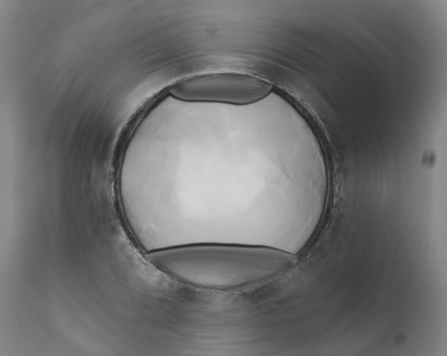 X0000111241072200907231523