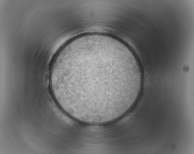 X0000111241075200907231523