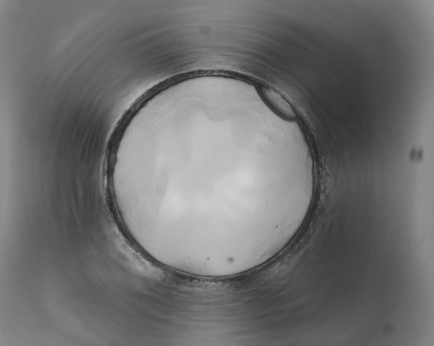 X0000111241076200907231523