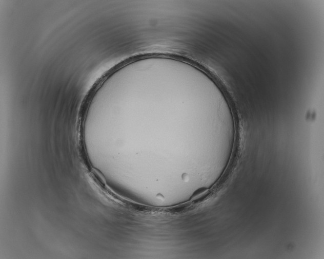 X0000111241077200907231523