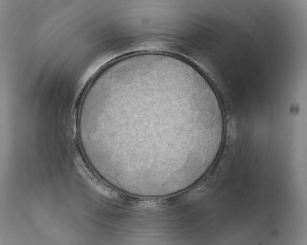 X0000111241078200907231523