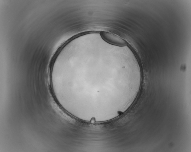 X0000111241080200907231523