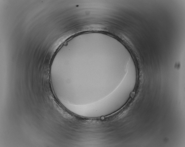 X0000111241081200907231523