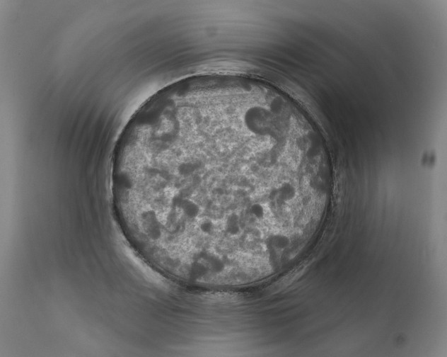 X0000111241083200907231523